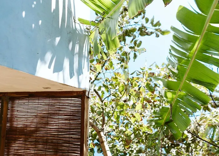Tortuga Blue House In Banana Plantation